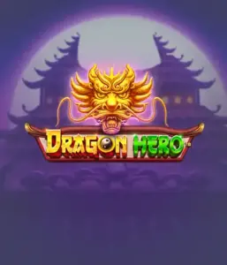 Enter a legendary quest with the Dragon Hero game by Pragmatic Play, highlighting stunning visuals of powerful dragons and heroic battles. Venture into a land where legend meets excitement, with featuring enchanted weapons, mystical creatures, and treasures for a mesmerizing gaming experience.